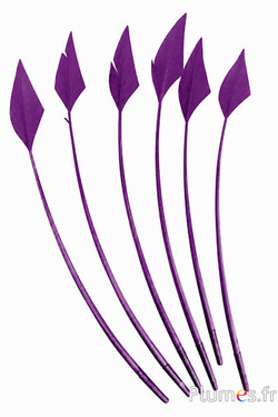 Schwan Pfeilform - 20-30 cm - aubergine
